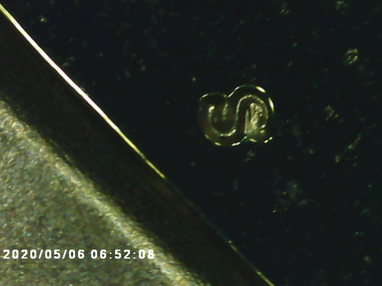 Just-Seeing-If-This-S-Is-Supposed-To-Be-Like-This-On-A--Ike-1971-S-Proof